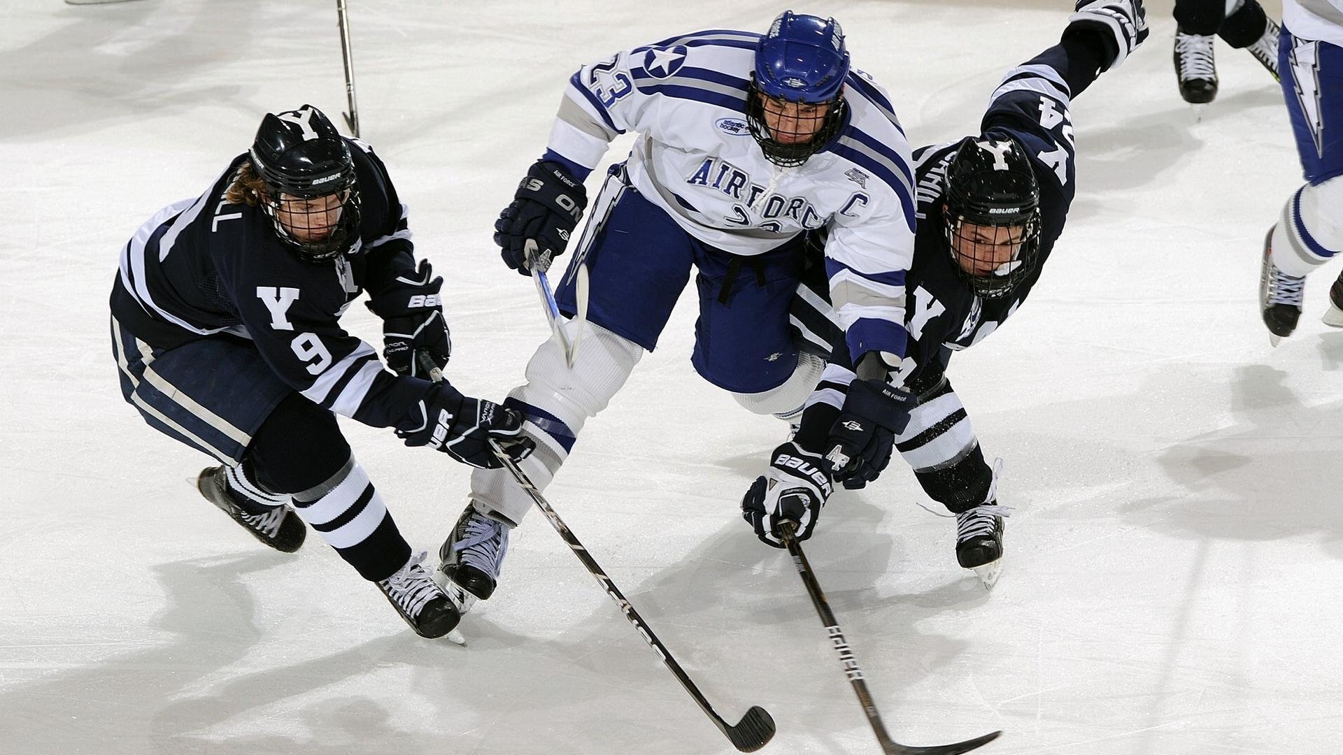 青训“产业+科技”融合发展新路径逐步清晰，行业高质量发展加速